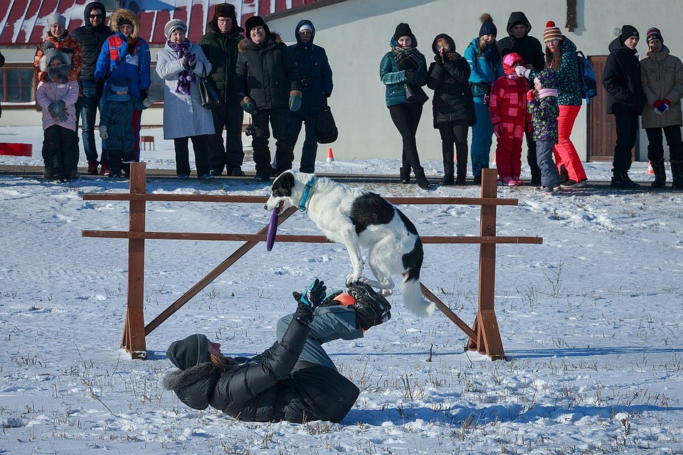 Фото: Музей-заповедник "Куликово поле"