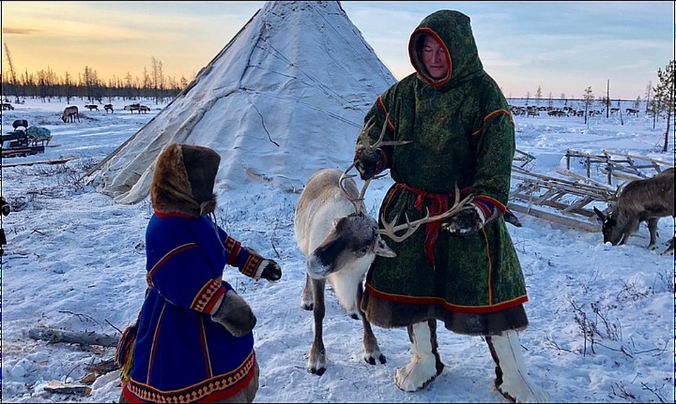 В Надымском районе запустили проект по развитию изгородного оленеводства Фото: yanao.ru