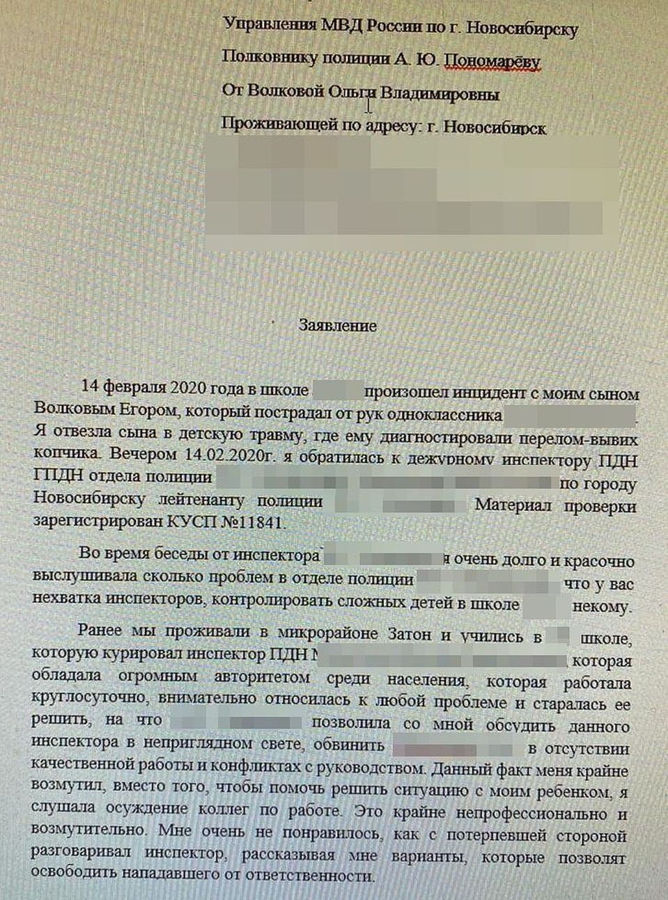 Заявление в полицию от мамы пострадавшего Егора. Фото: предоставлено Ольгой ВОЛКОВОЙ.