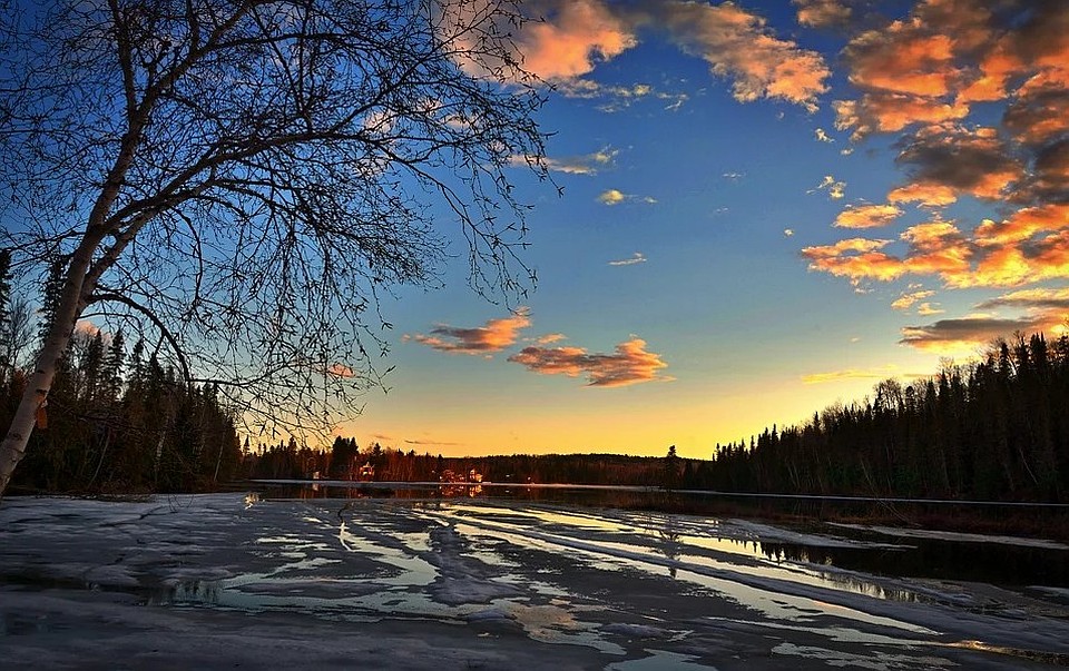 Фото: Pixabay.com