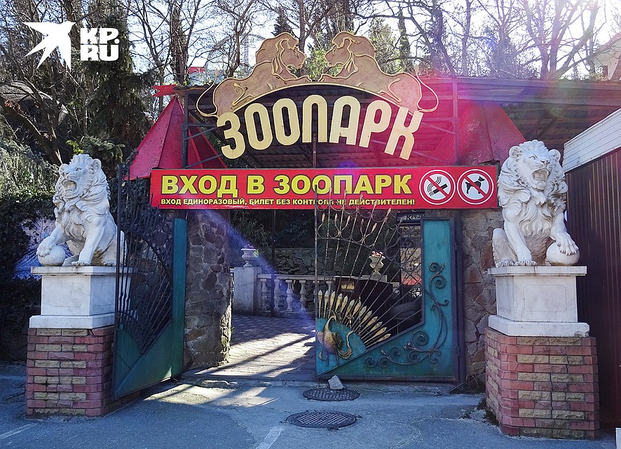 В «Сказке» содержатся около тысячи животных. Фото: Наталья ВАРСЕГОВА