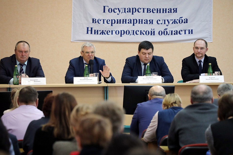 Планы по совершенствованию системы работы с бродячими животными обсудили на коллегии госветнадзора. Фото: Александр Воложанин.