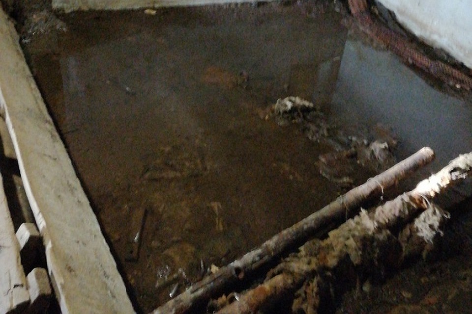 Из-за постоянных протечек, в подвале всегда стоит вода / Фото: «Гражданский патруль»