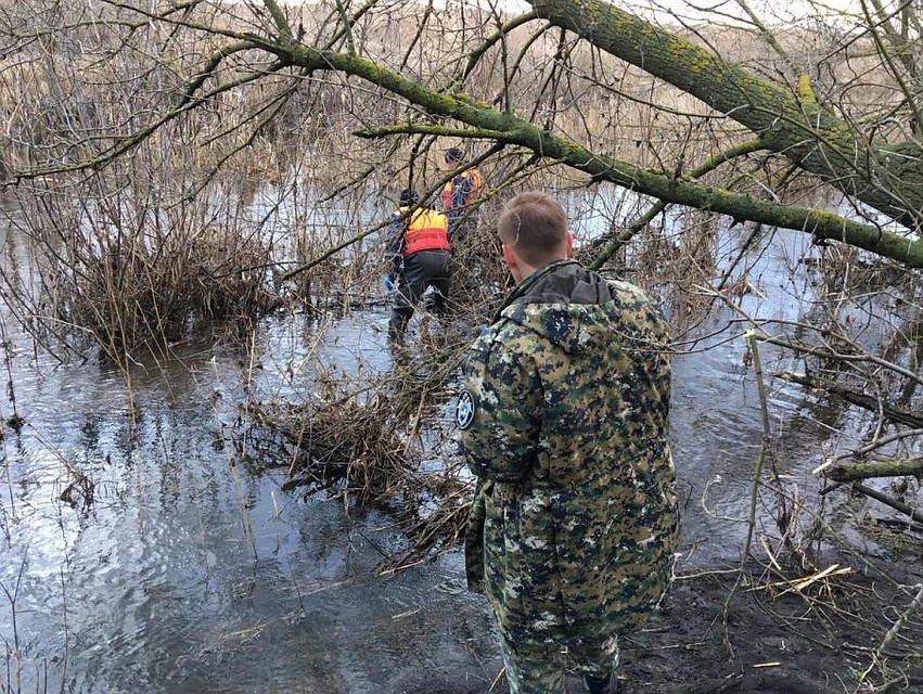 Тело нашел местный житель. Фото СУ СКР по Саратовской области