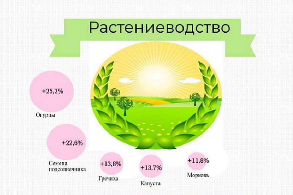 Цены на растительную пищу выросли на 7,7%. Фото: пресс-служба Новосибирскстата