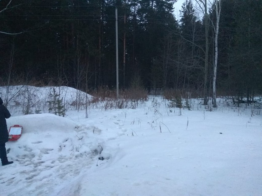 Тело девушки обнаружили в лесу, в 30 километрах от Екатеринбурга. Фото: СКР по Свердловской области