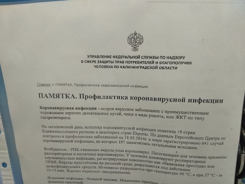 Памятки на кассах «Ассорти» почему-то «родом» из Калининградской области Фото: Анастасия ЖУКОВА