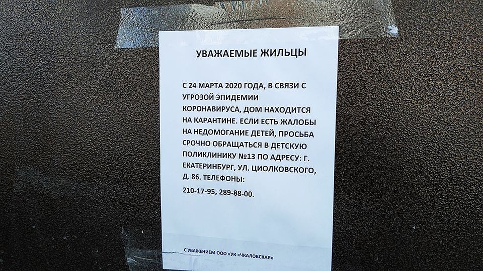 Фото: Вячеслав Пестриков