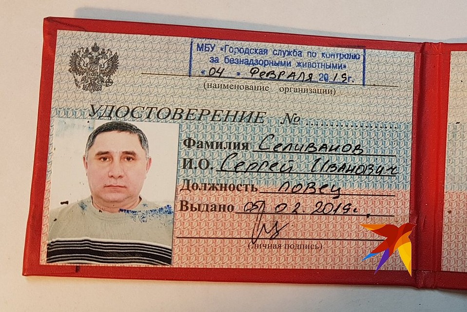 Сергей Селиванов — ловец-подсобный рабочий. Удостоверение выдается для того, чтобы люди не бросались на машины.