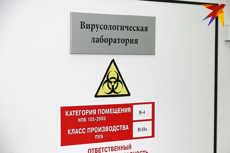 Фото: Дмитрий Селезнёв