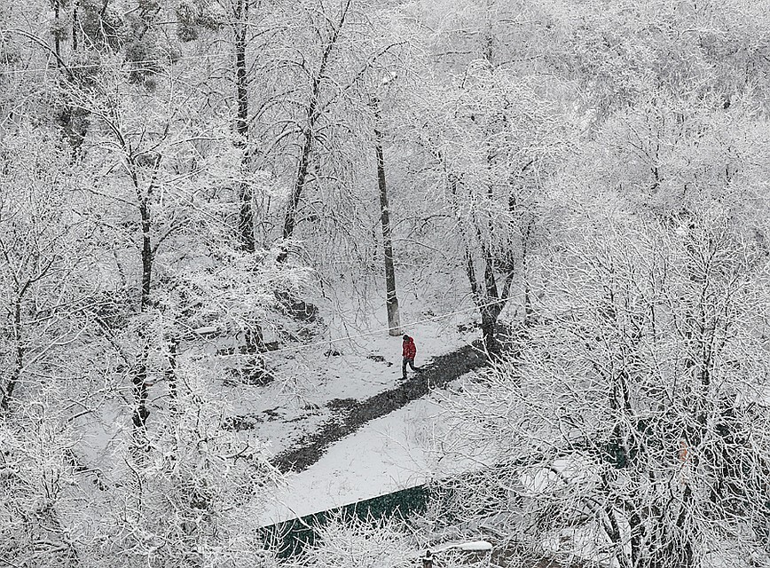 Несколько дней назад в Киеве шел снег Фото: REUTERS