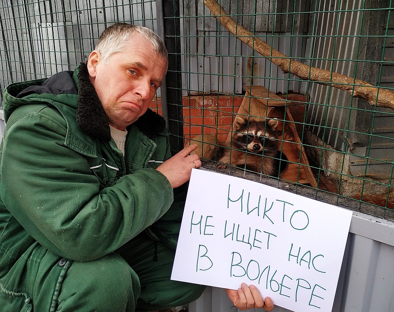 А ведь могли бы найти