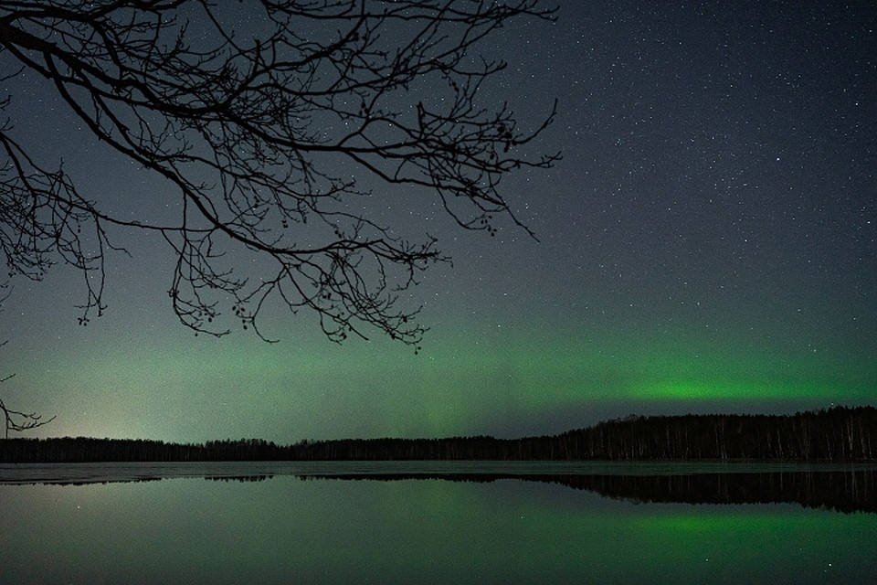 Также небесную красоту видел и во Всеволожске. Фото: vk.com/aurora812