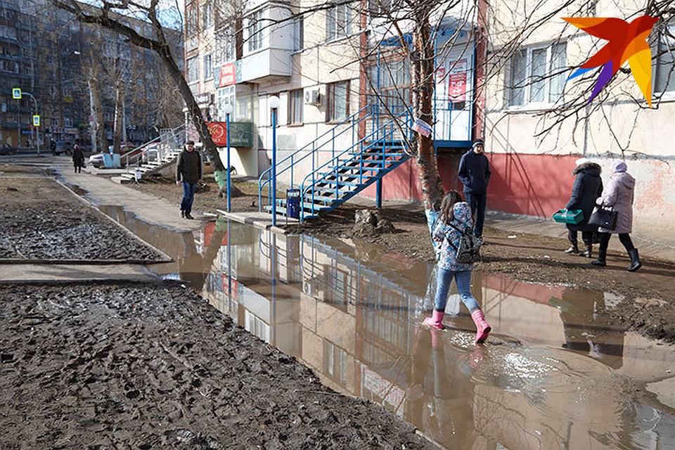Фото: Сергей Грачев