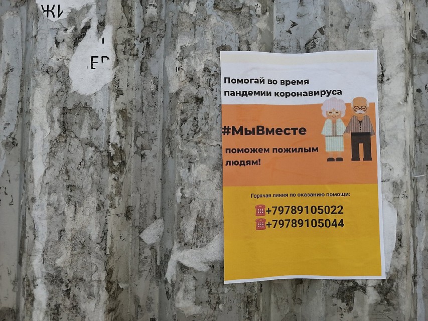 Нужны добрые сердца для помощи. Фото: Ольга АВЕРЬЯНОВА