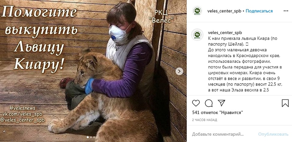 Фото: instagram.com/veles_center_spb