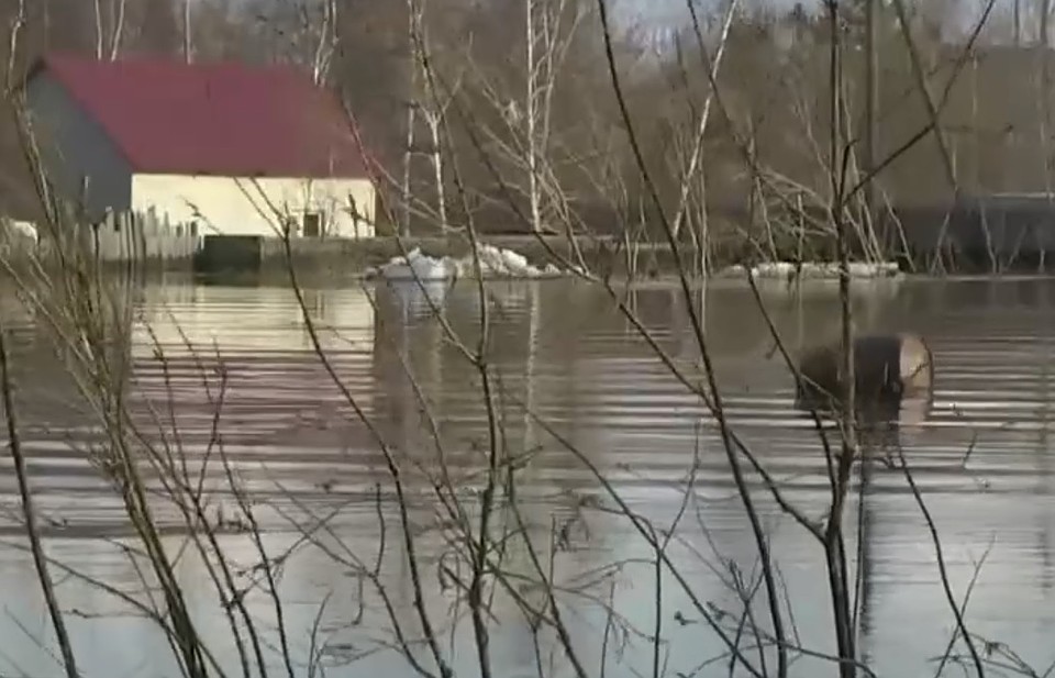 Такого паводка в Жатае не было лет 5.