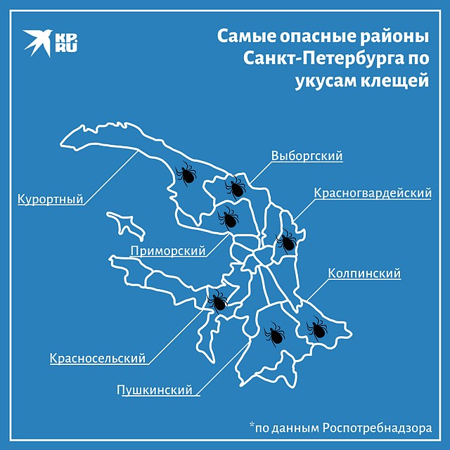 В каких районах Санкт-Петербурга зарегистрировано больше всего укусов клещей. Фото: Павел РОМАНОВ