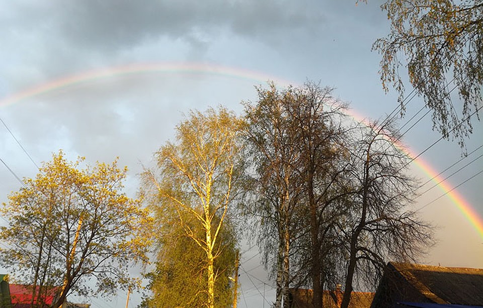 Красивыми снимками нижегородцы поделились в социальных сетях. ФОТО: "Регион-52"