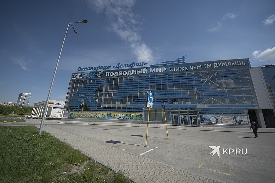 Огромная парковка океанариума последние два месяца по большей части пустует Фото: Алексей БУЛАТОВ
