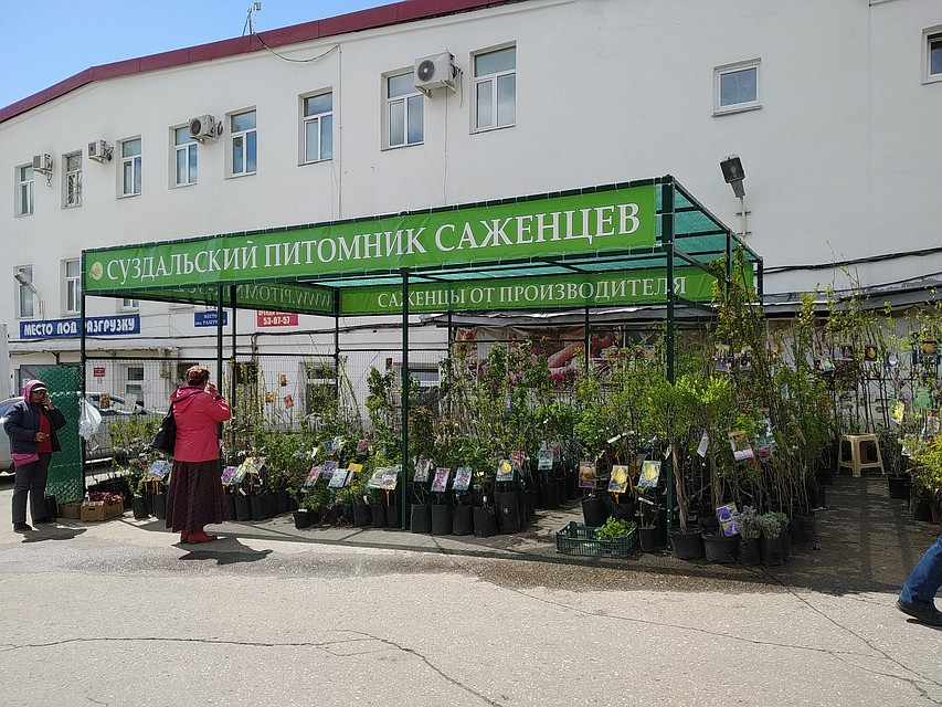 . Фото: Анна ДЕКТЯРЕВА