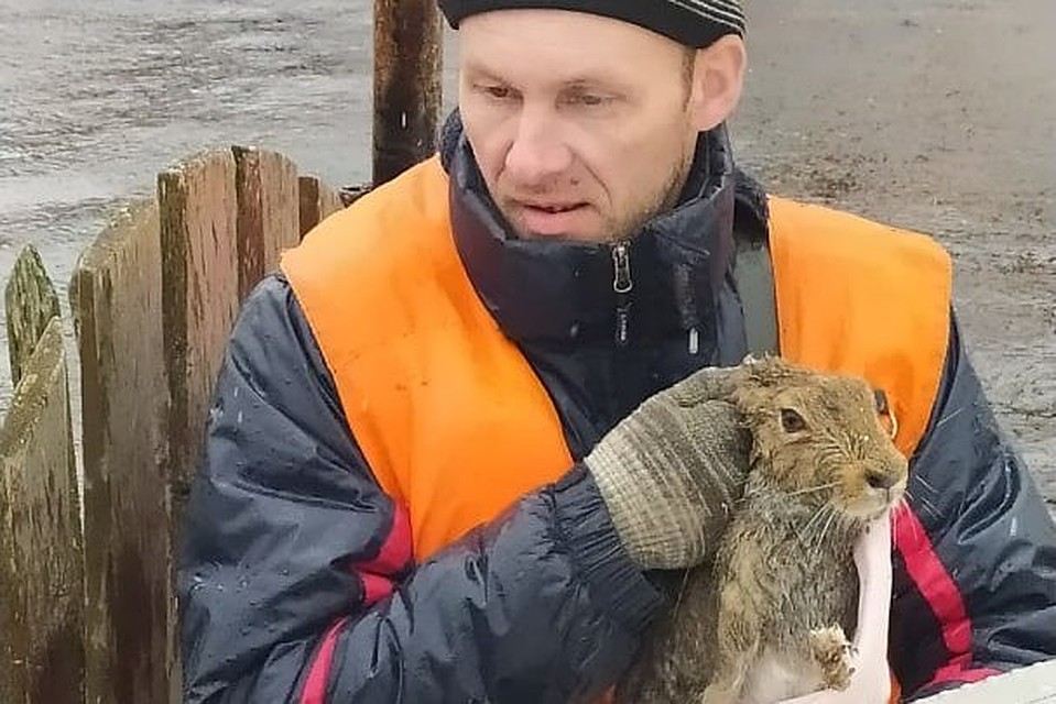 В поселке разлилась река Кубена, на работу люди ходят в броднях Фото: http://www.cherinfo.ru