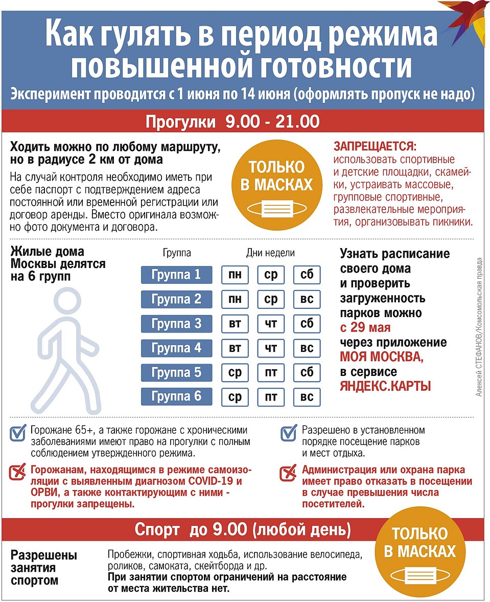 Как гулять в период режима повышенной готовности. Фото: Алексей СТЕФАНОВ