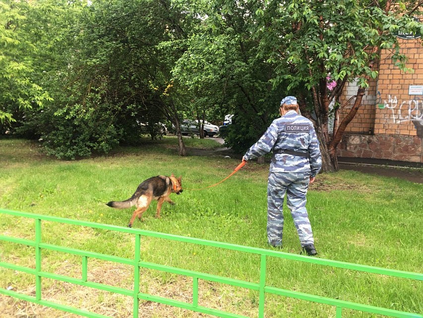 Подключены все оперативные службы. Фото: ГУ МВД России по Красноярскому краю.