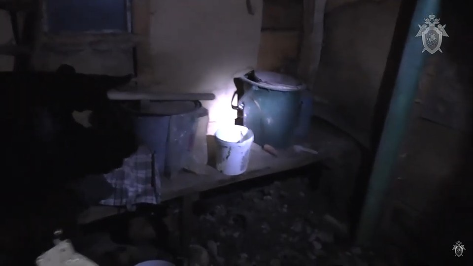 Обвиняемая сама показала, что находится в ее сарае. Фото: кадр из видео СК России.