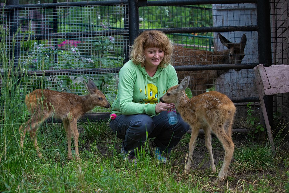 Малышей поили молоком каждые четыре часа Фото: парк флоры и фауны «Роев ручей»