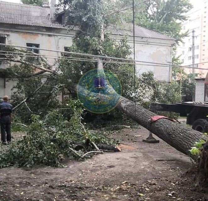 Фото: МБУ "Управление гражданской защиты Ульяновска"