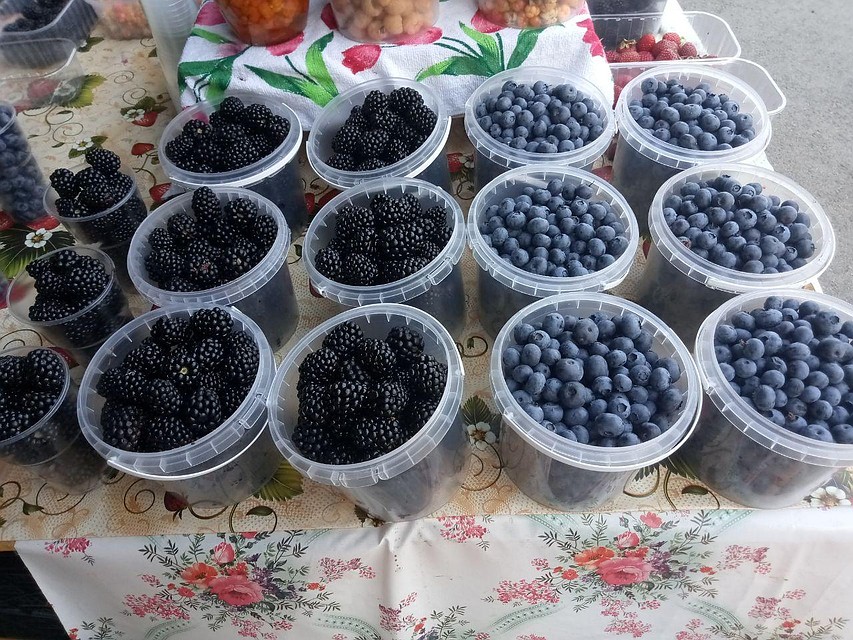 Голубика из Сербии, ежевика из Молдавии. Фото: Анна МАЛЫШЕВА