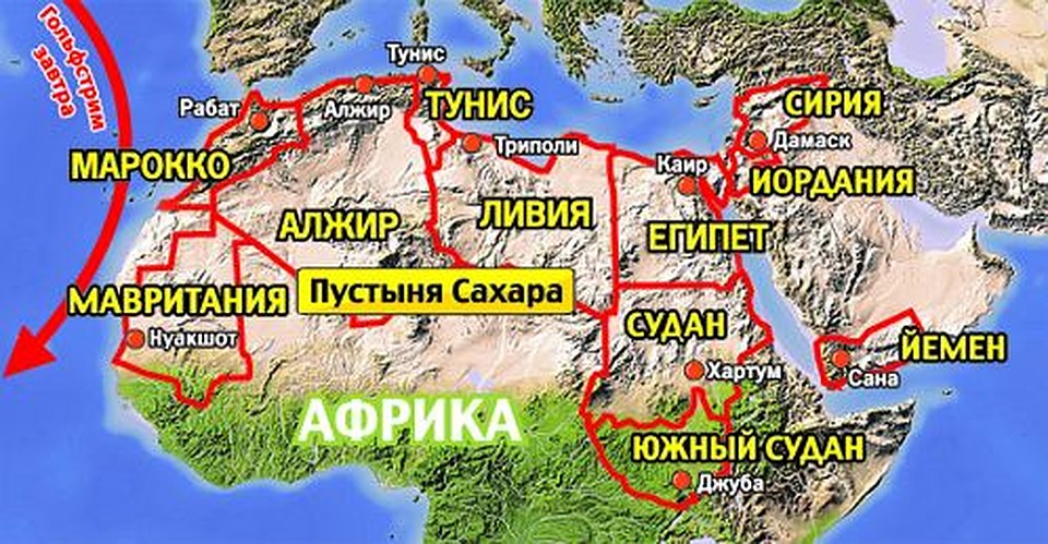 Графика Алексея СТЕФАНОВА