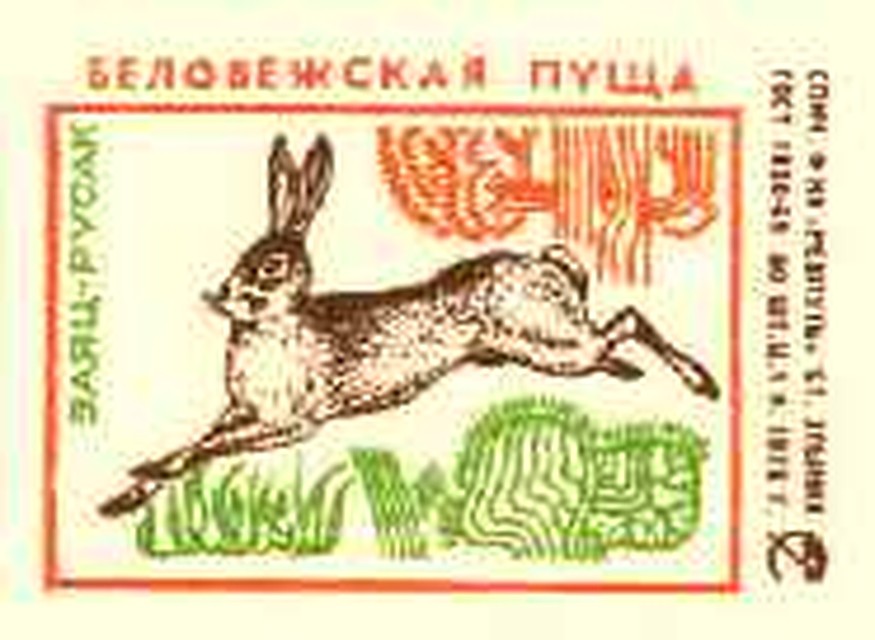 ...а в 1975 году заяц-русак оказался на спичечной этикетке.