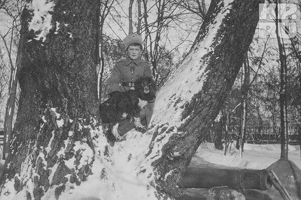 1916 год. Царскосельский парк. Наследник престола Алексей Николаевич со своим любимым псом, черным спаниелем Джоем.