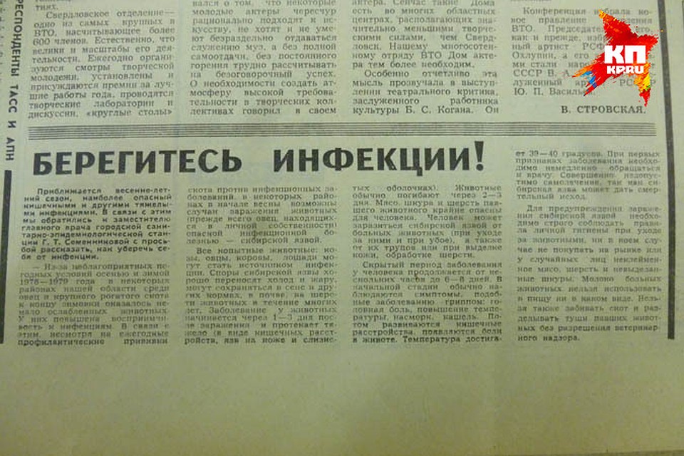 Уральские газеты в 1979 году уверяли, что вспышка язвы произошла из-за заболевших коров Фото: Данил СВЕЧКОВ