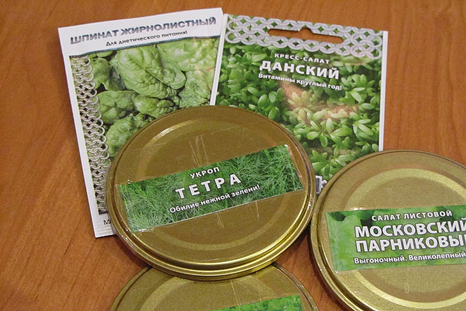 Фото: Татьяна КОНДРАТЬЕВА