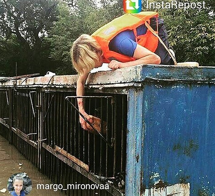 Еду зверям доставляют на лодках. Фото: соцсети