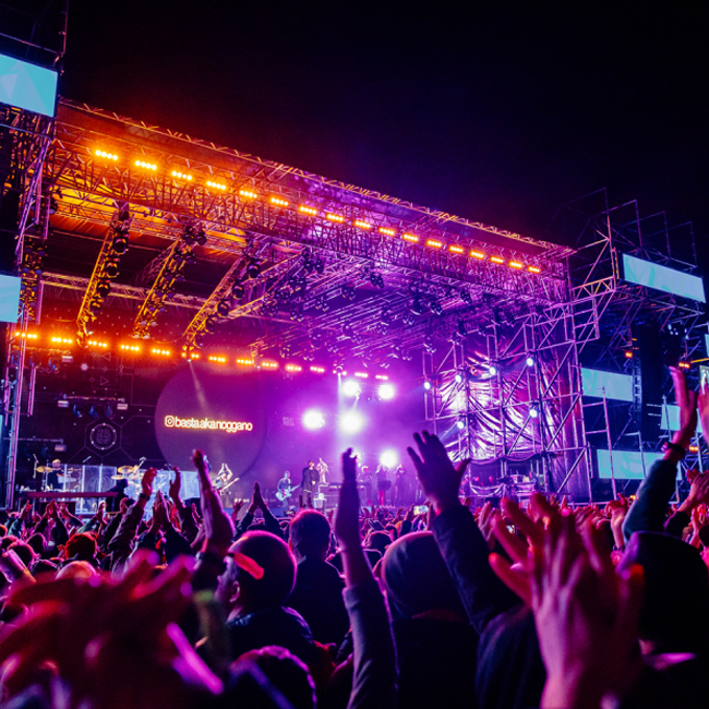 Артисты согласились выступить на новой «Дикой Мяте» за 1 рубль: в честь этого на поле высадят аллею