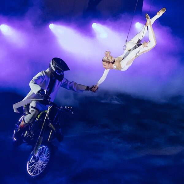 Шоу «Новогодняя история игрушек»