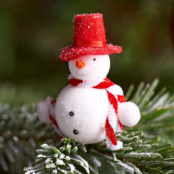 Спектакль «Снеговик-почтовик» в театре «Поколение»