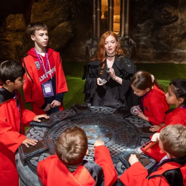 Новогоднее шоу в детском парке «Визардия»