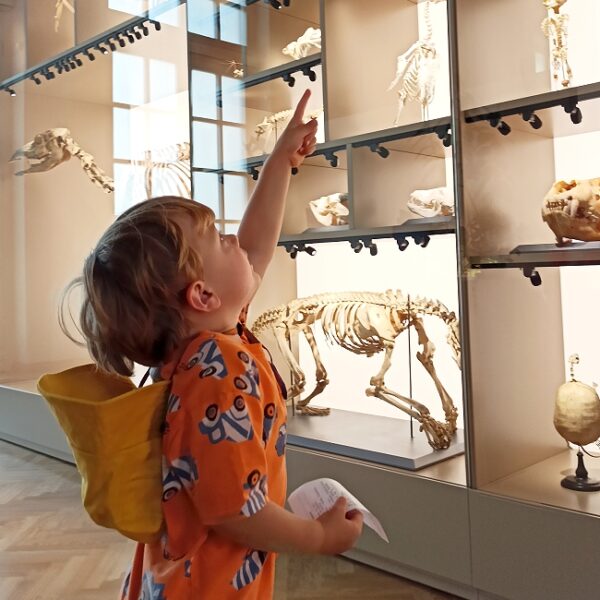 Выставка «Грызуны: отряд непобедимых» в Биологическом музее