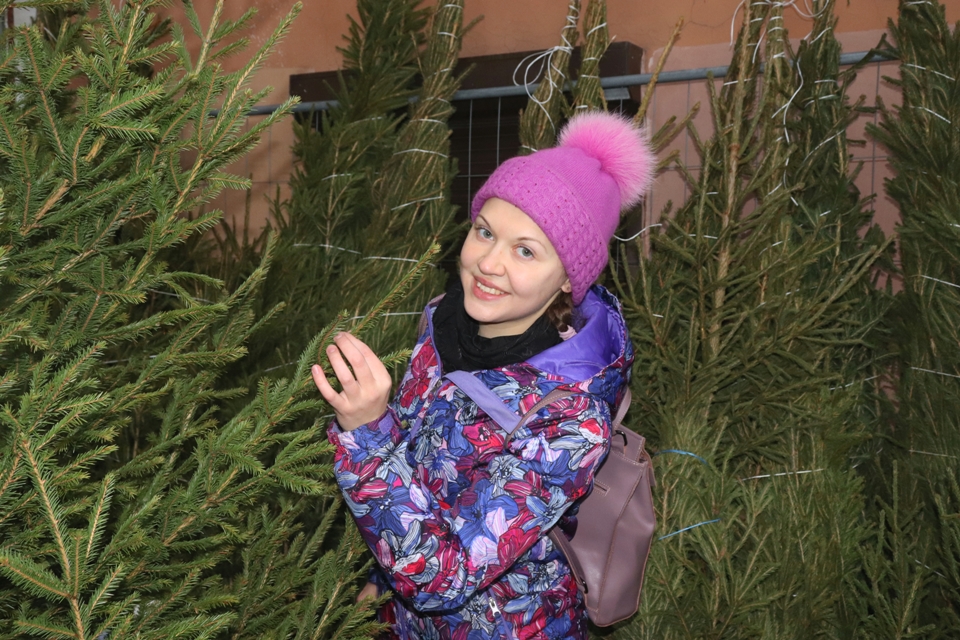 Елочные базары в Санкт-Петербурге