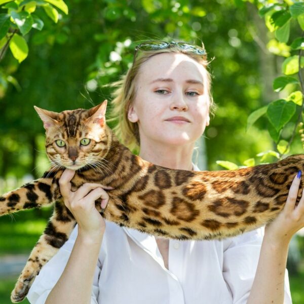 Фестиваль породистых животных «ЛапЛандия»