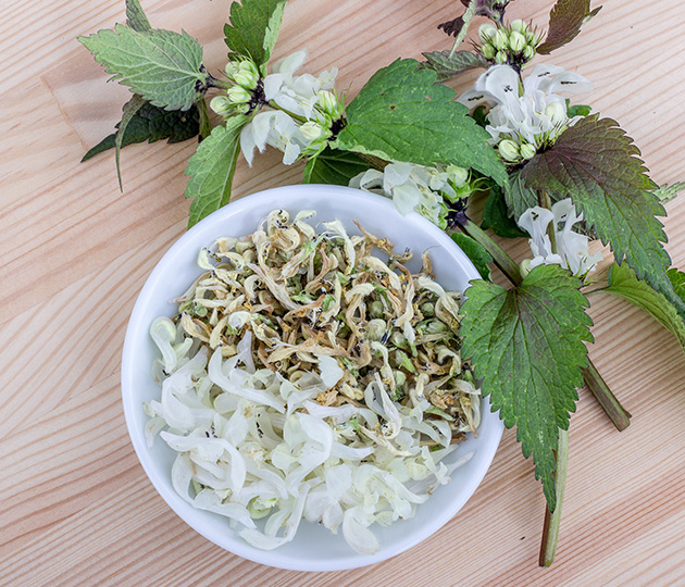 Отвар крапивы. Фото: Pixabay