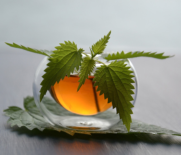 Чай с крапивой. Фото: Pixabay