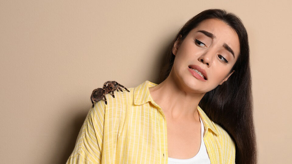 Арахнофобия