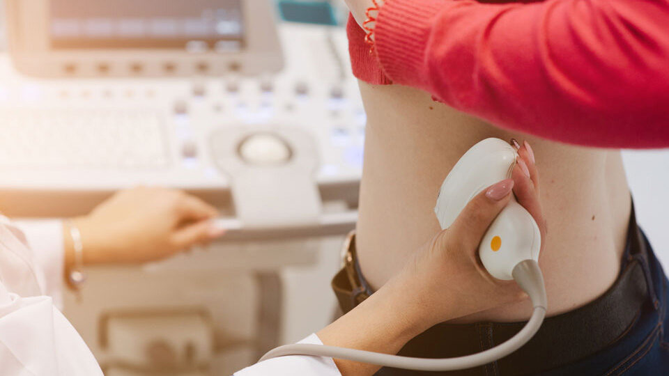 Поликистоз почек у взрослых: причины, симптомы, лечение, профилактика в ...