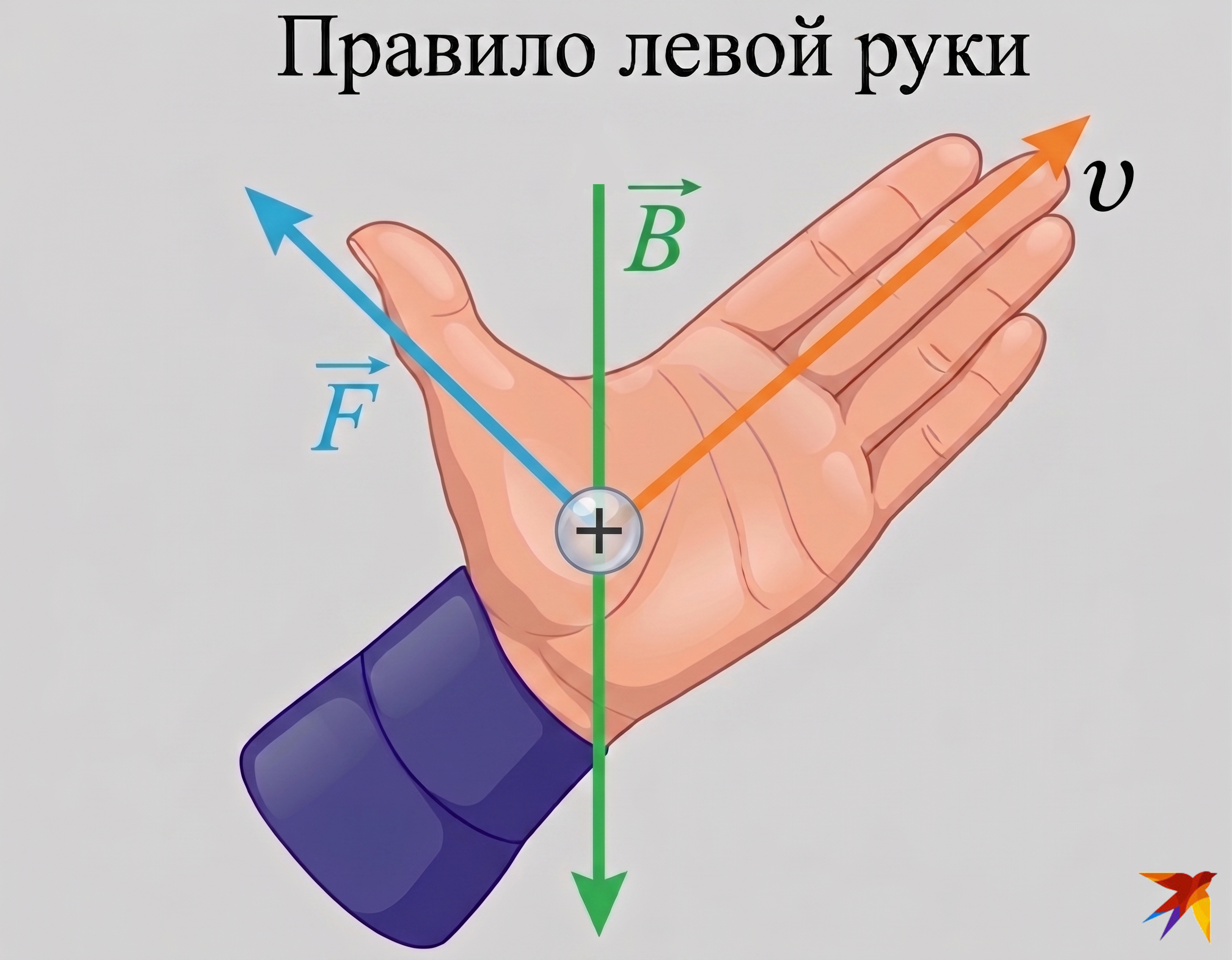 Правило левой руки Лоренса